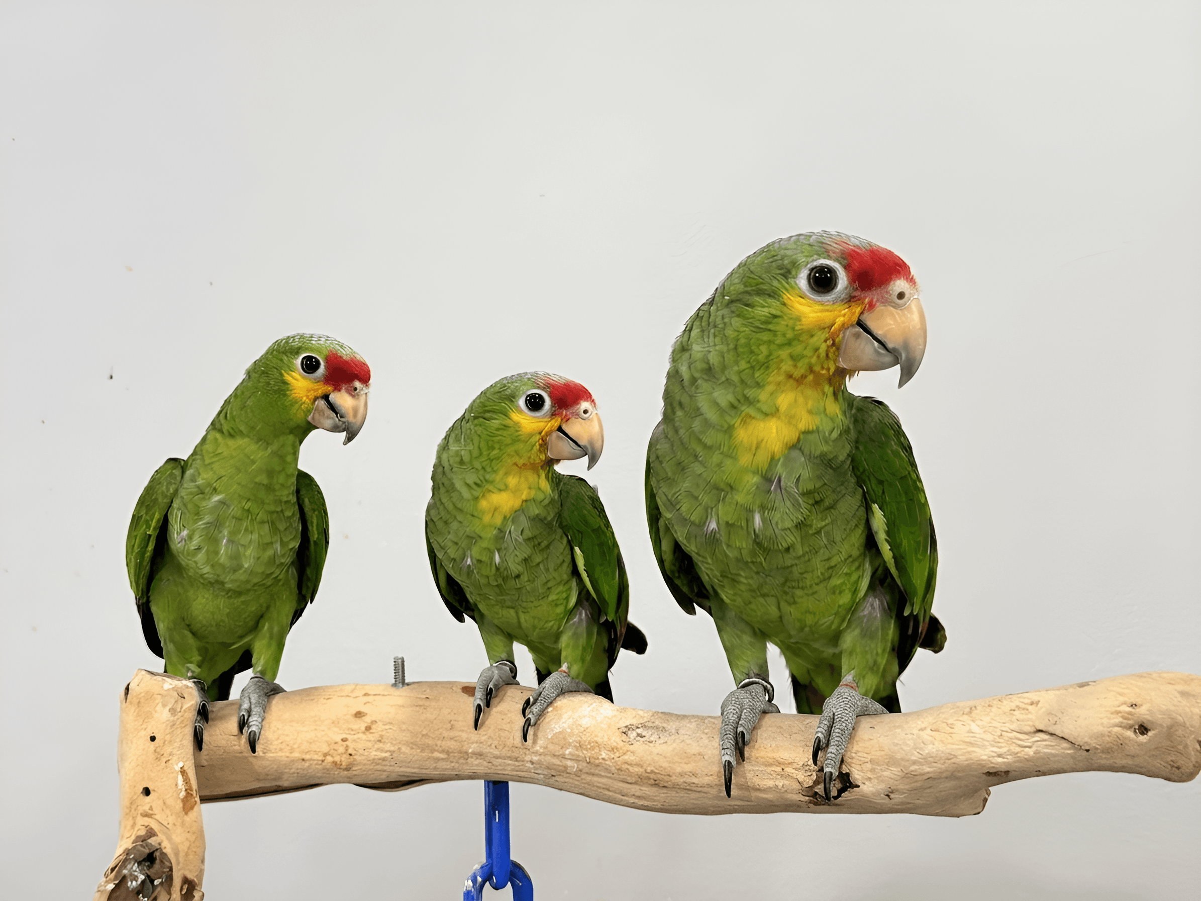 After — AI processed result