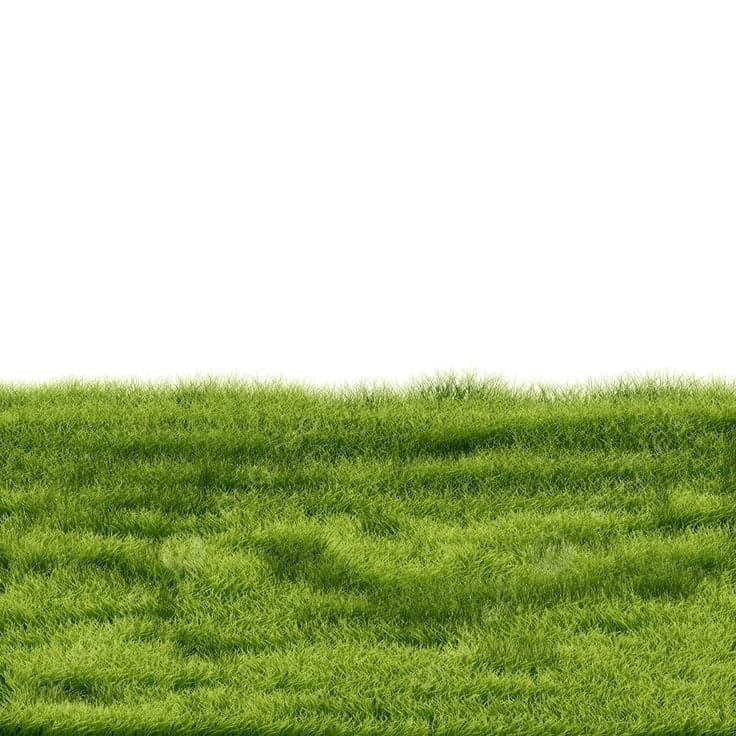 Before — original input