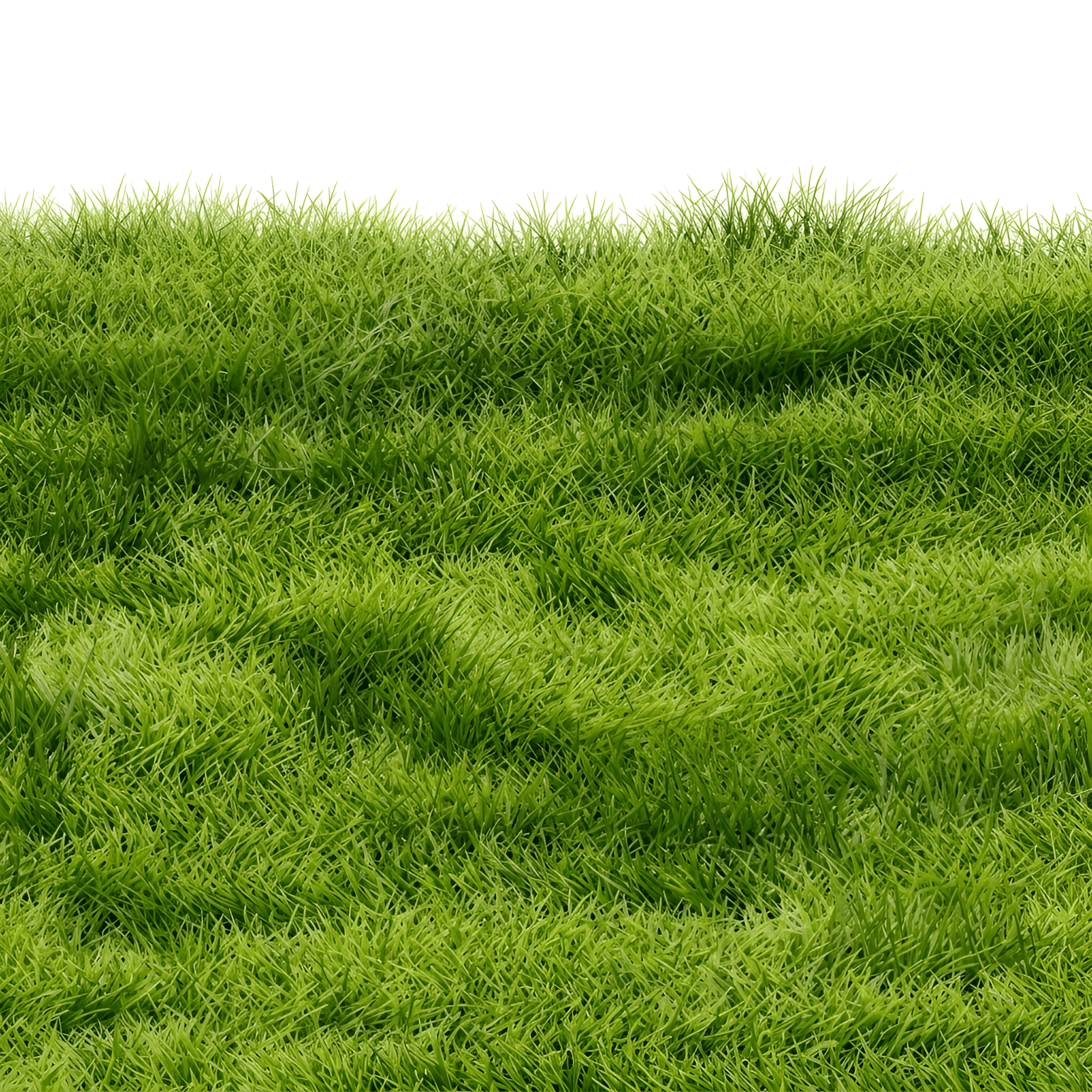 Transform Soft Grass into Vivid Detail with AI Enhancement