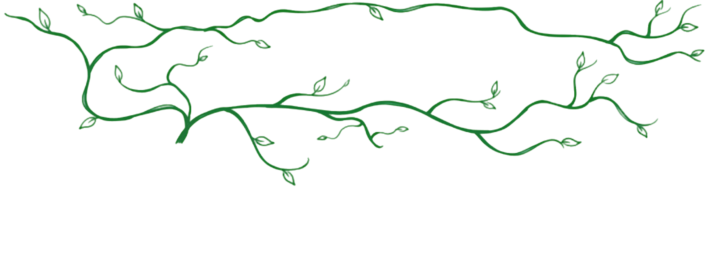 Before — original input