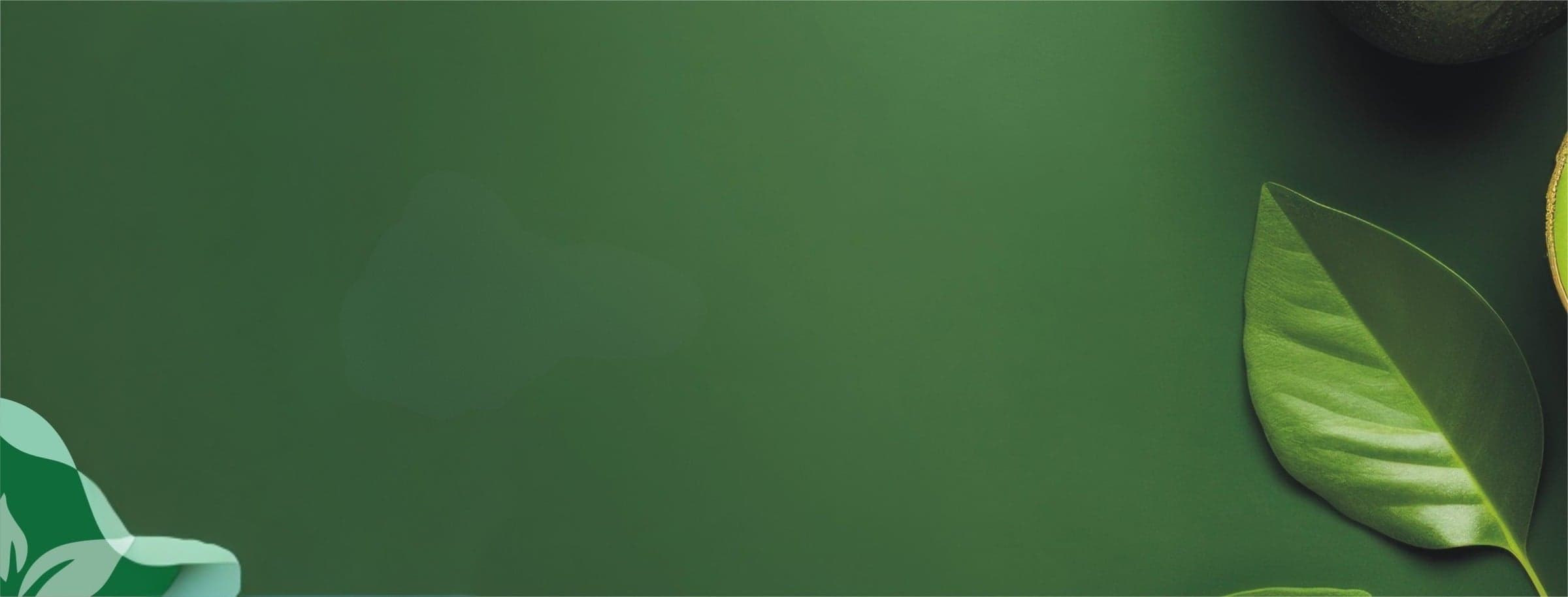 Before — original input