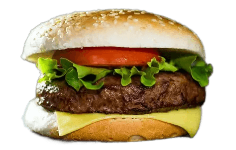 AI Background Removal for Food Photography | Perfect Burger Cutout