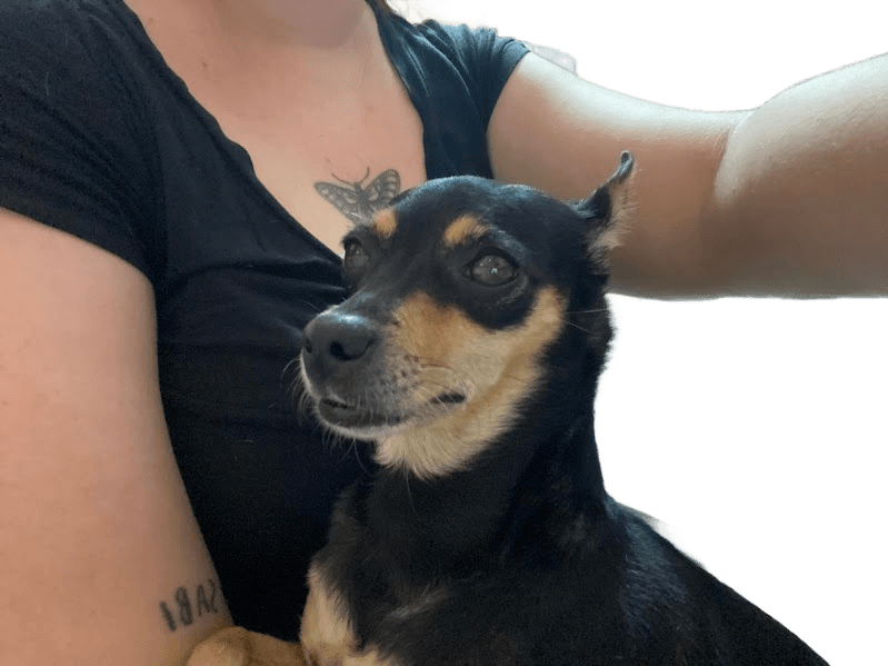 After — AI processed result