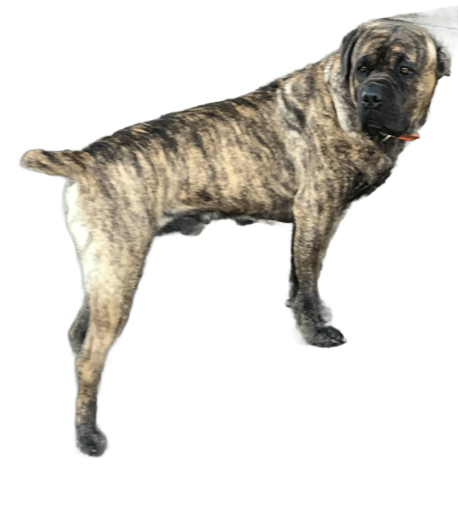 After — AI processed result