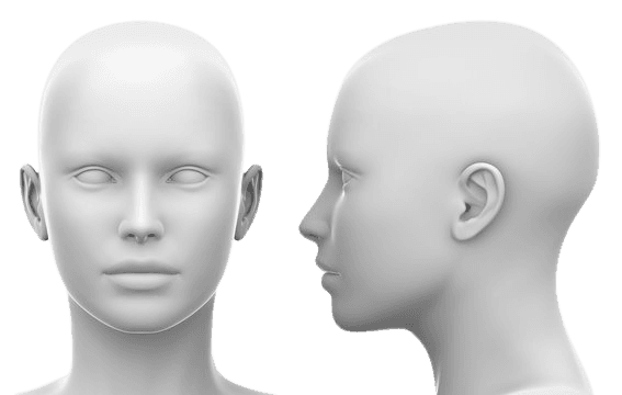 Before — original input