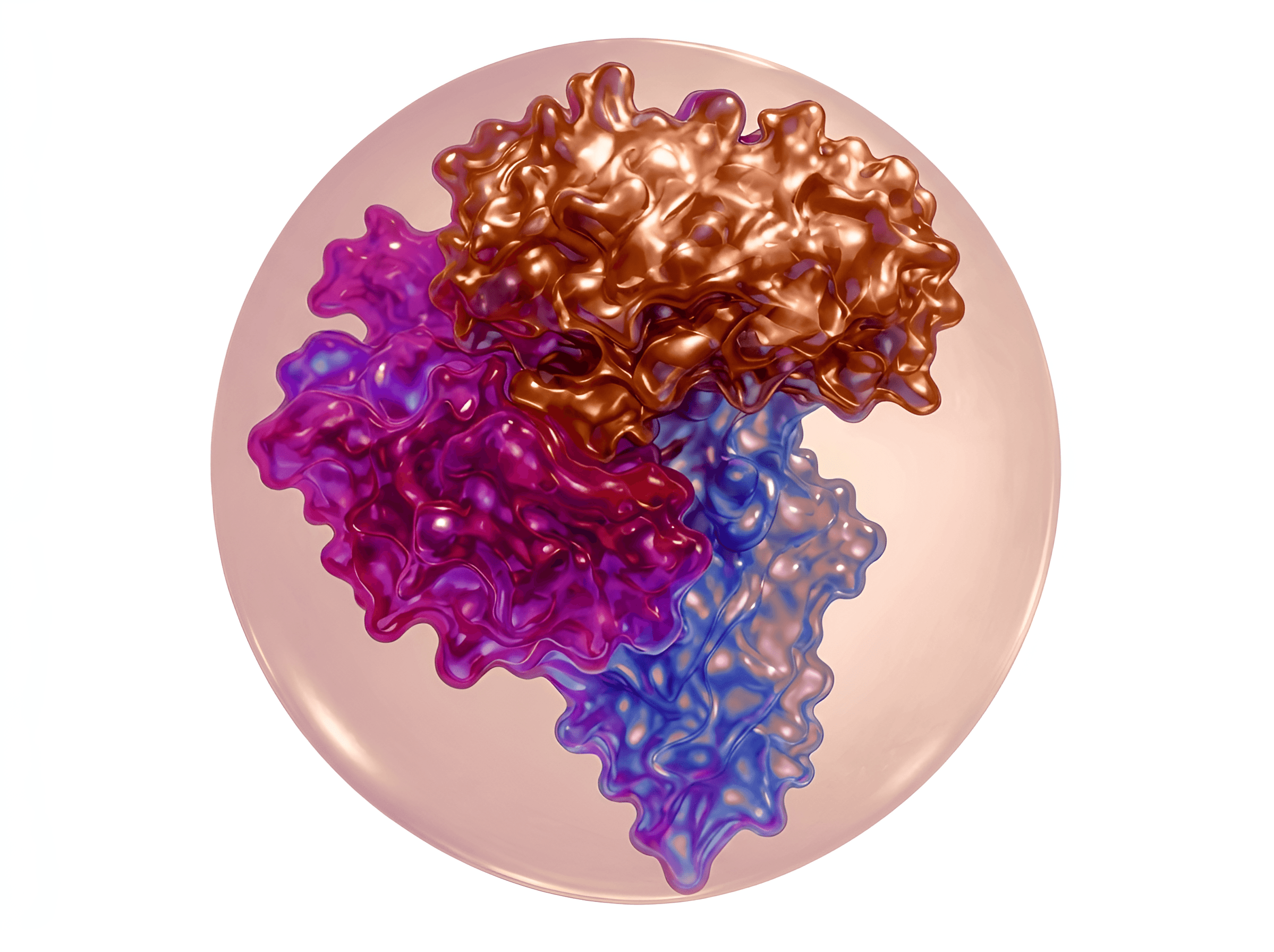 After — AI processed result