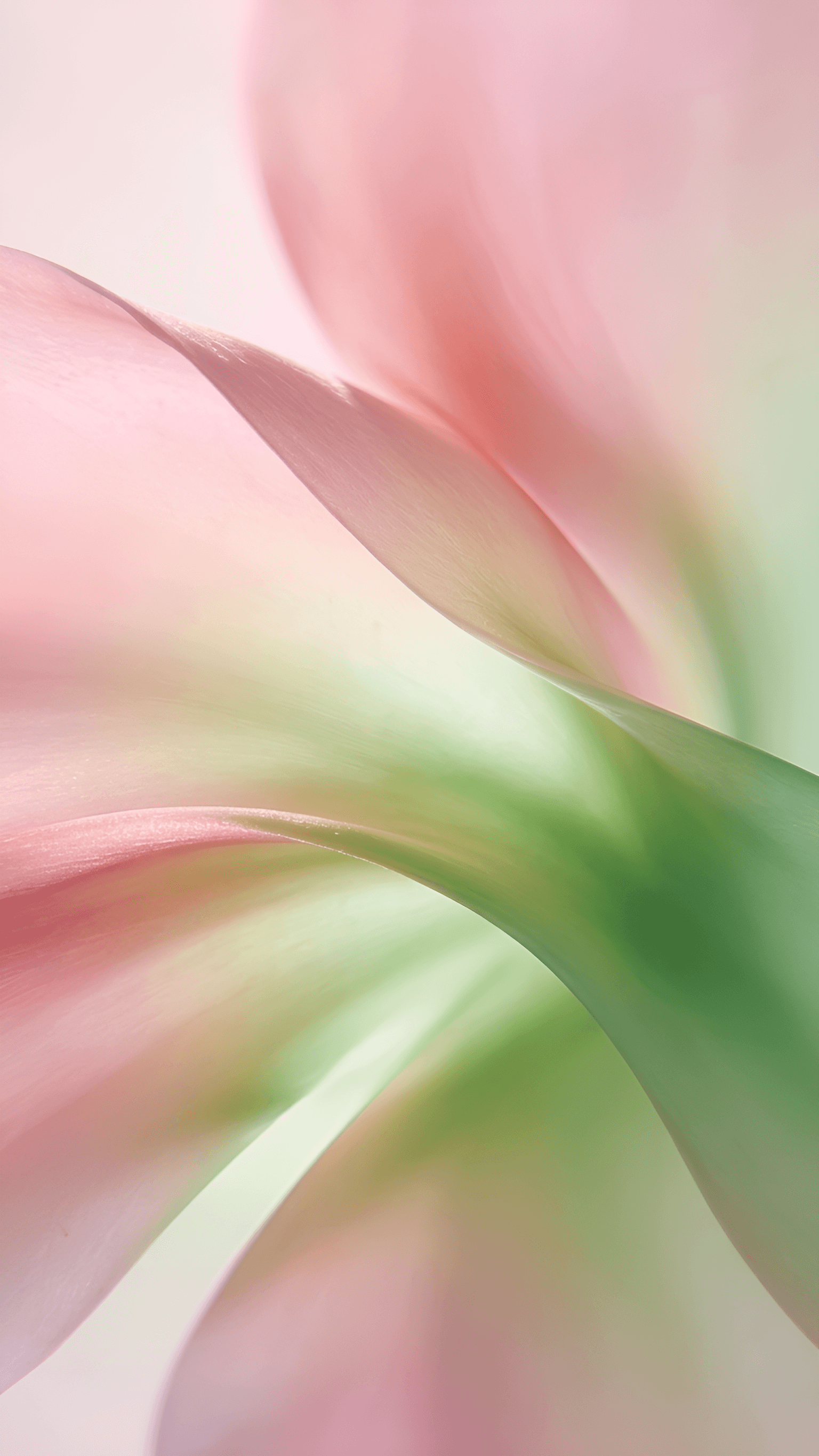 Transform Soft-Focus Art: AI Enhances Abstract Floral Detail