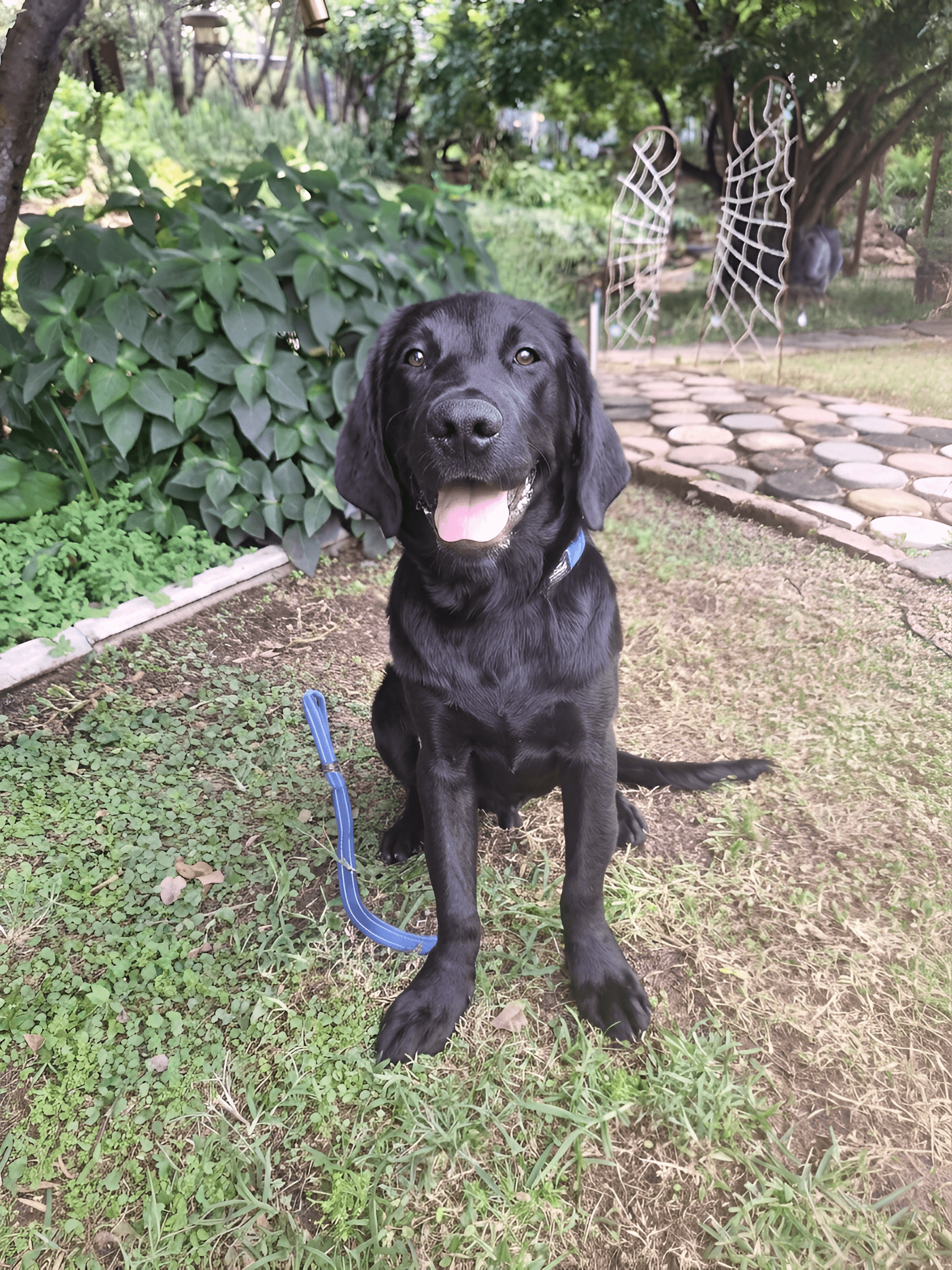 After — AI processed result