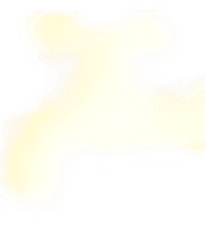 Before — original input
