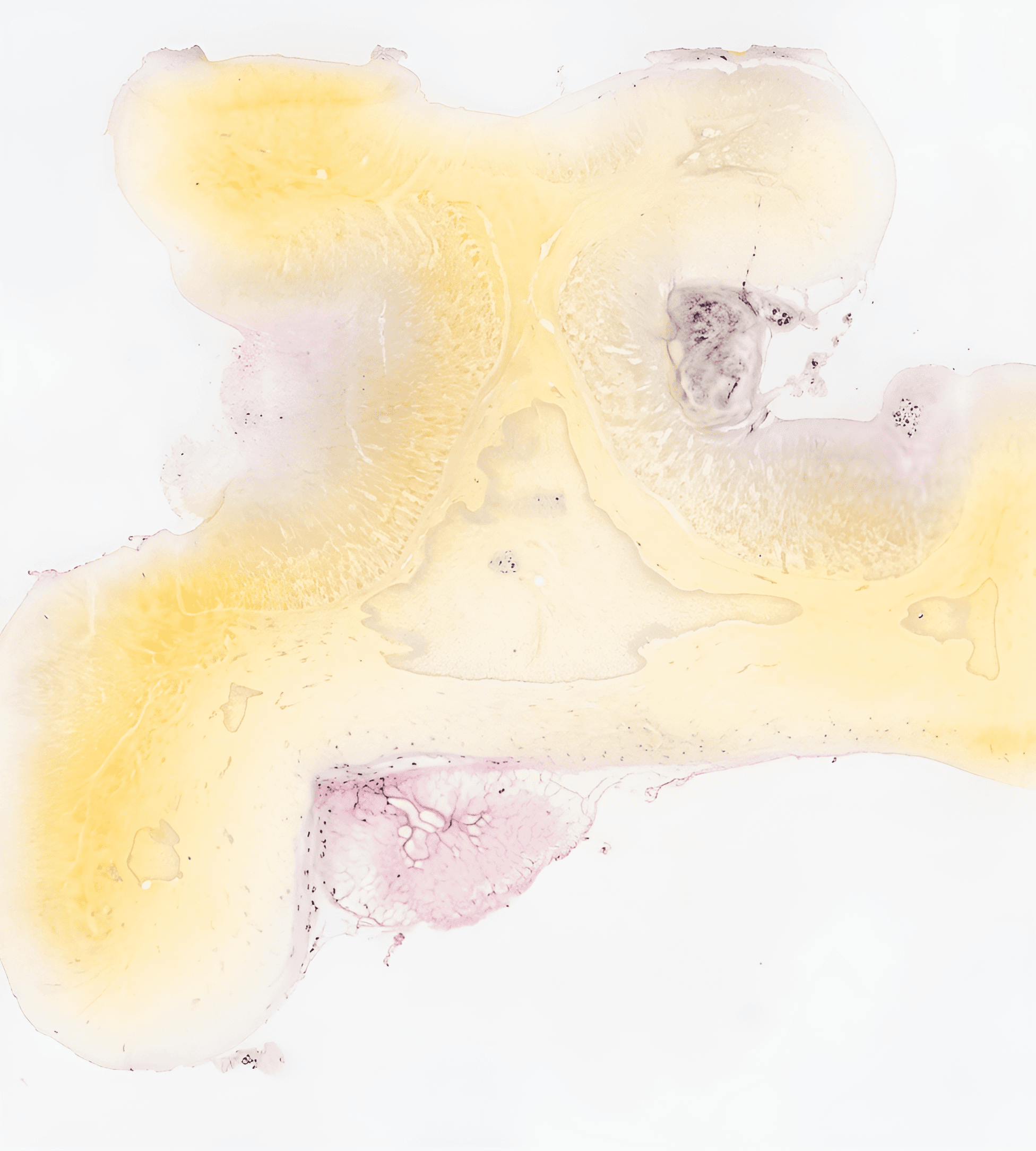 Transforming the Indistinct: AI Brings Abstract Art to Life