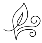 Before — original input