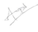 Before — original input