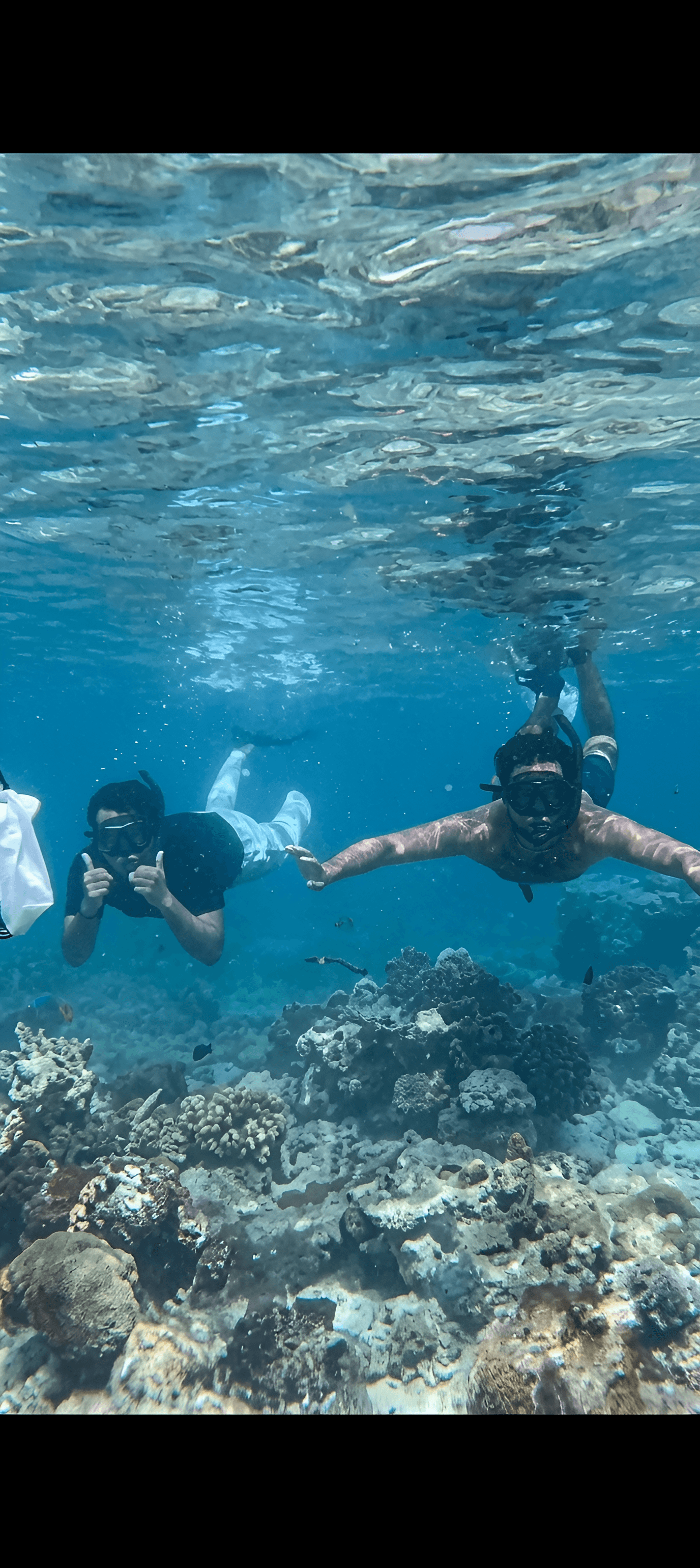 Dive into Clarity: AI Enhances Blurry Underwater Photos