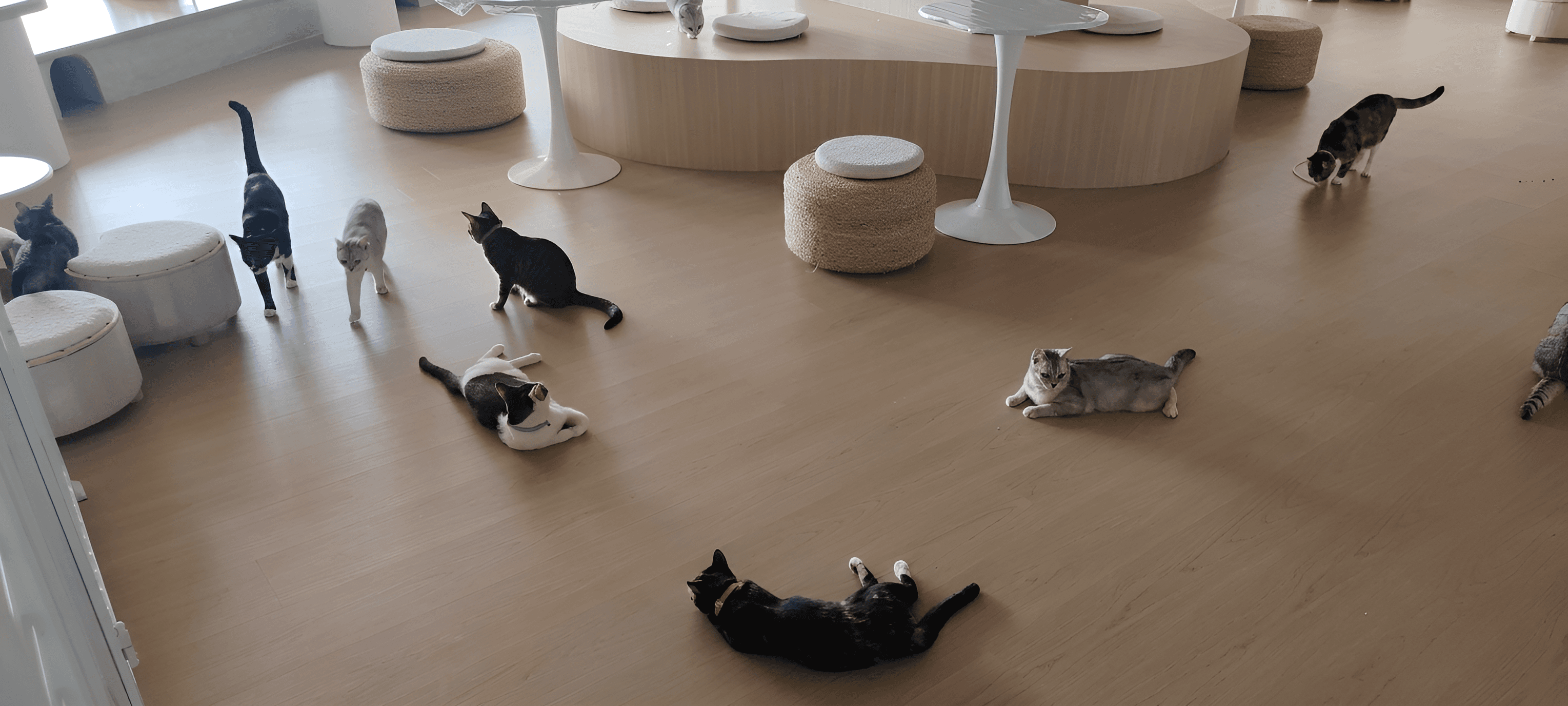 After — AI processed result