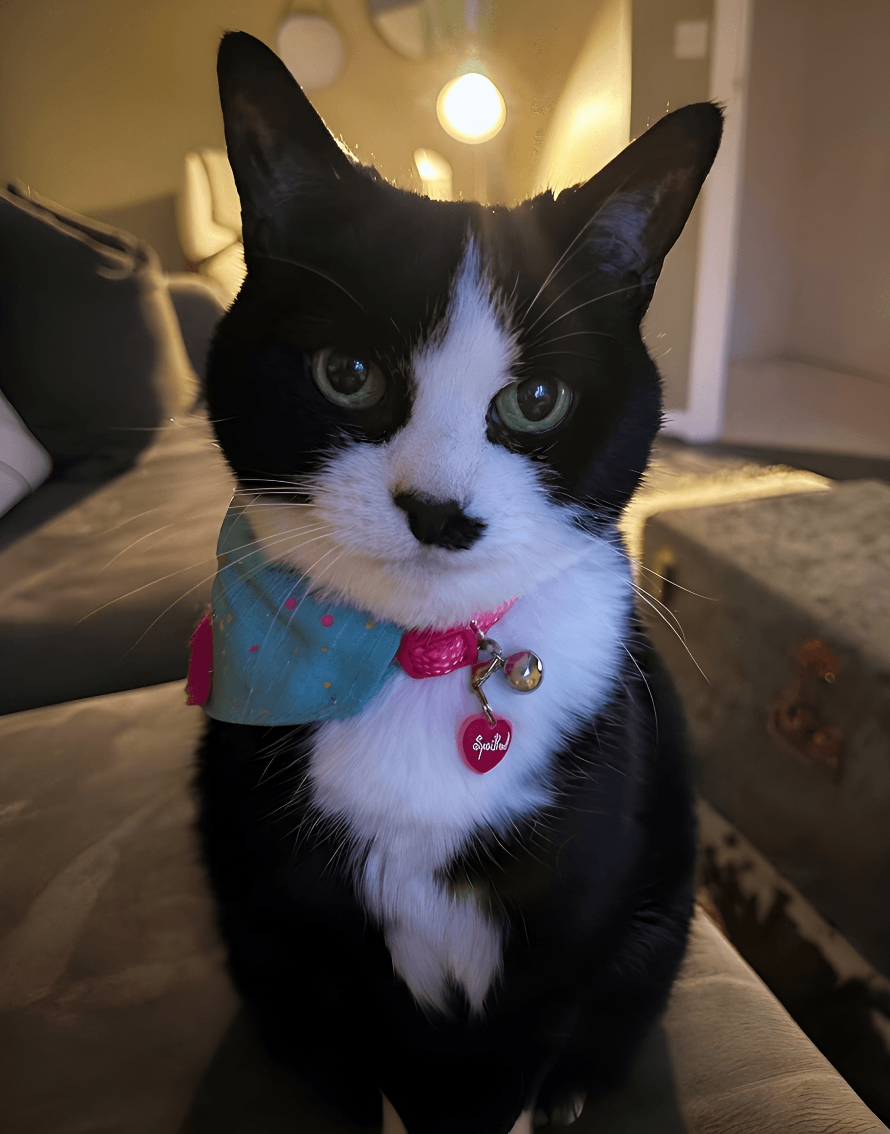 After — AI processed result