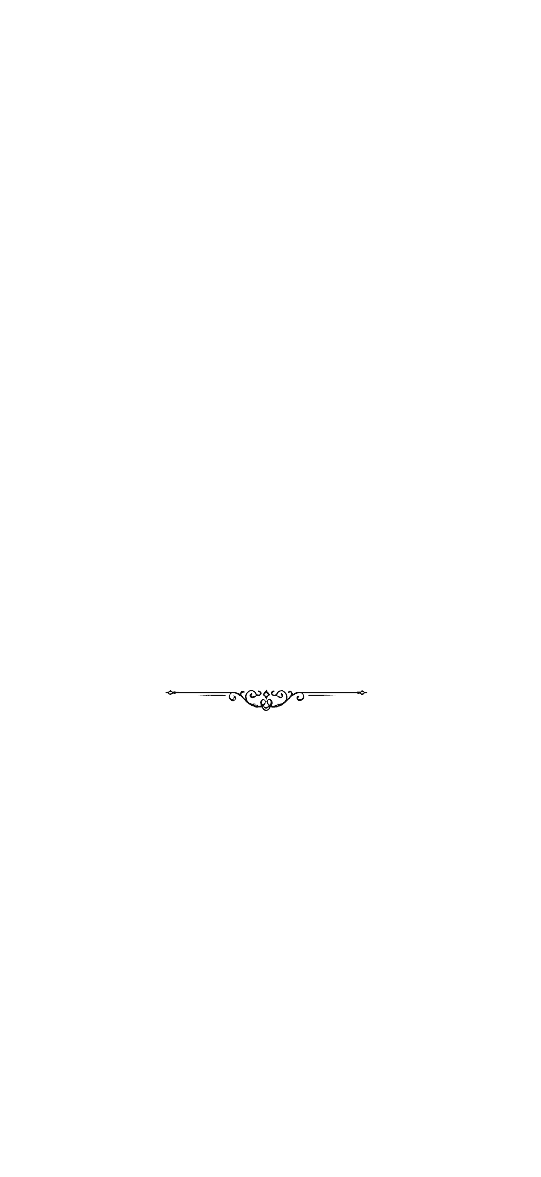 Before — original input