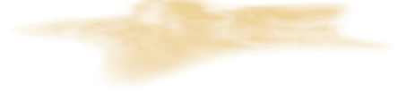 Before — original input