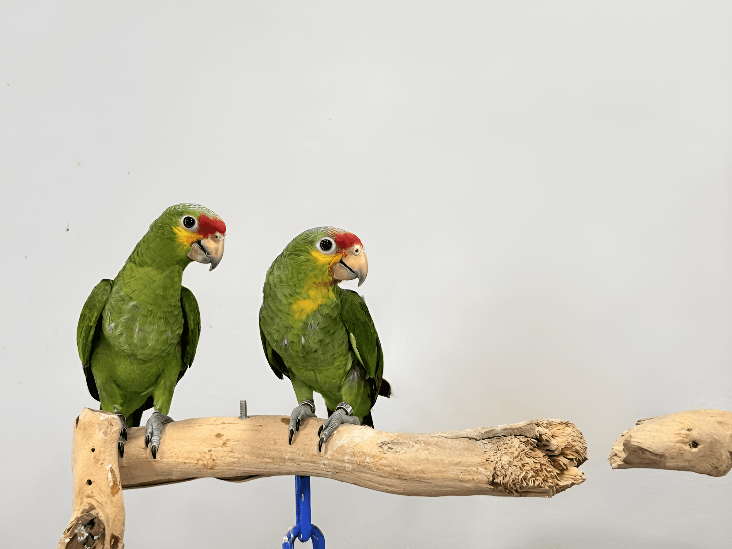 After — AI processed result
