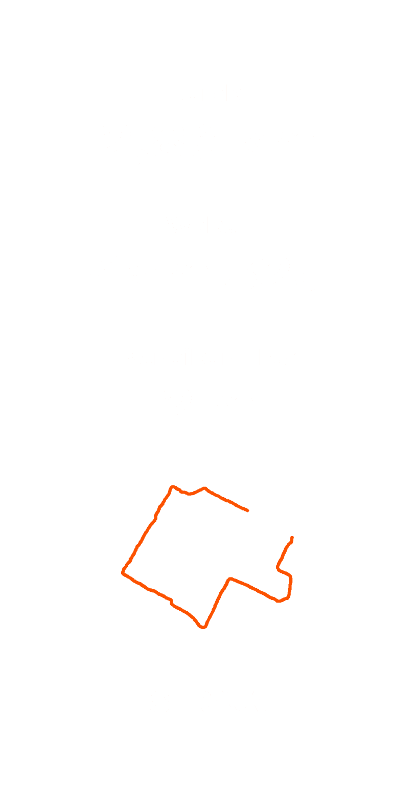 Before — original input