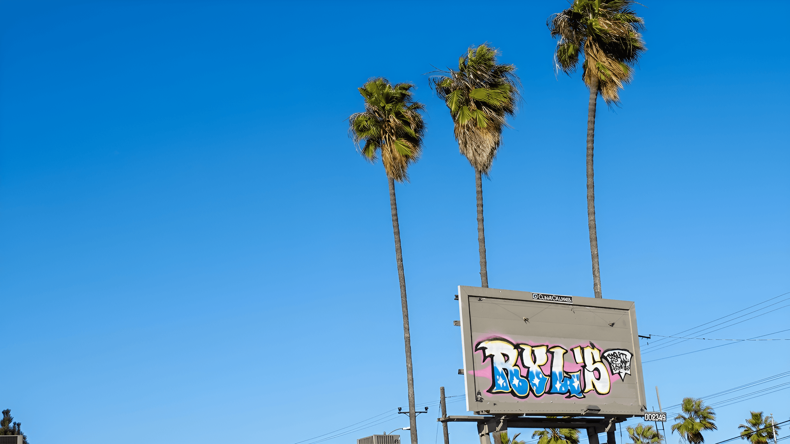 Sharpen Palm Trees & Graffiti Billboard with AI Image Enhancer
