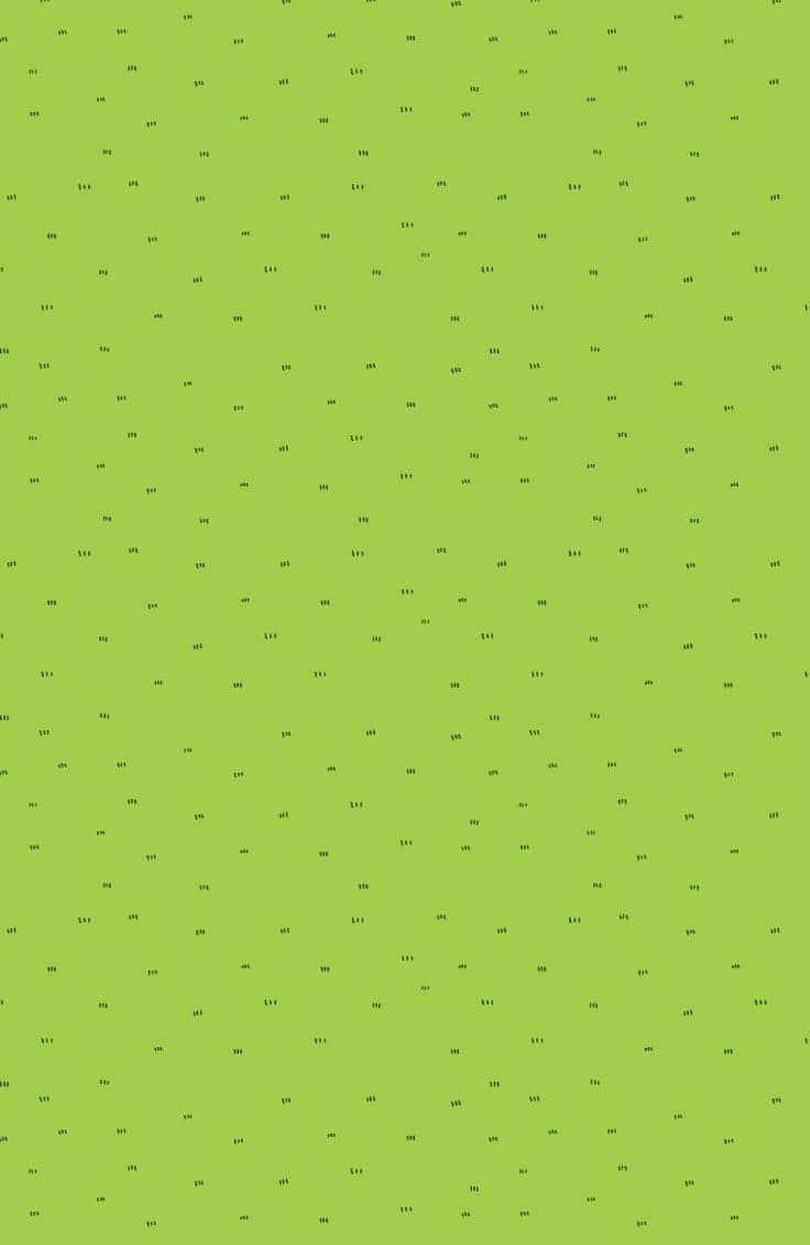 Before — original input