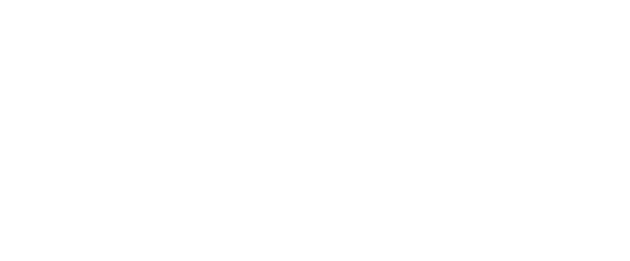 Before — original input