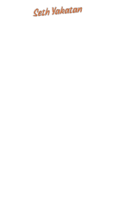 Before — original input