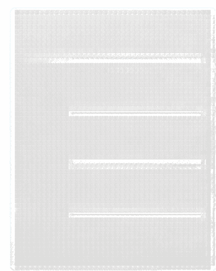 Before — original input