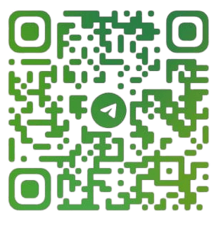 Before — original input