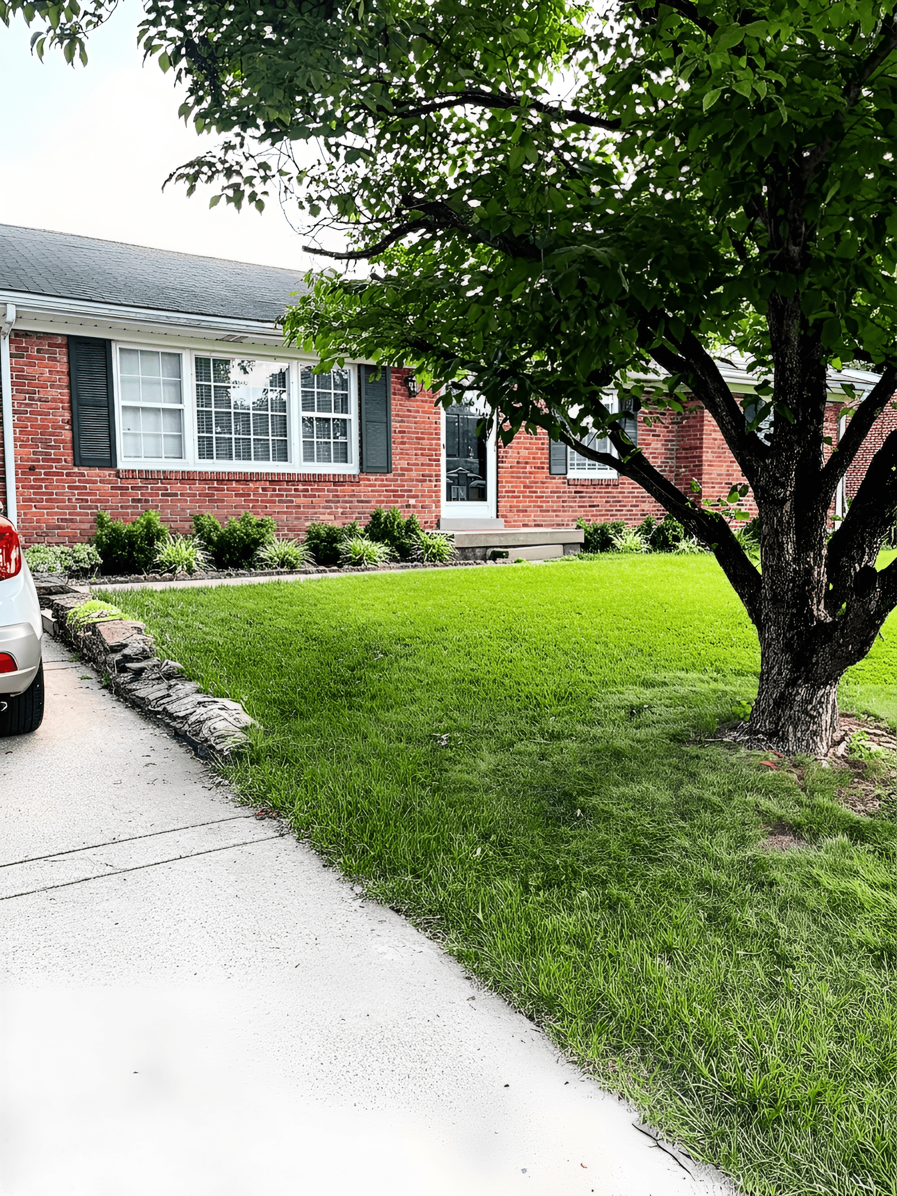 AI Enhances Residential Photo Clarity & Detail | BgRemovit