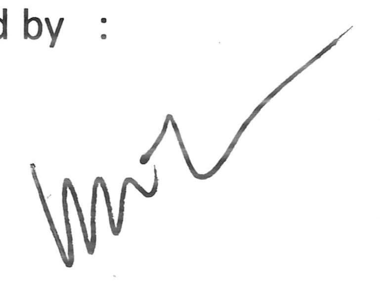 Before — original input