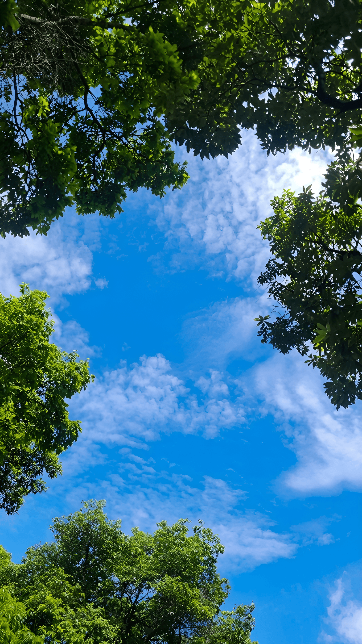 After — AI processed result