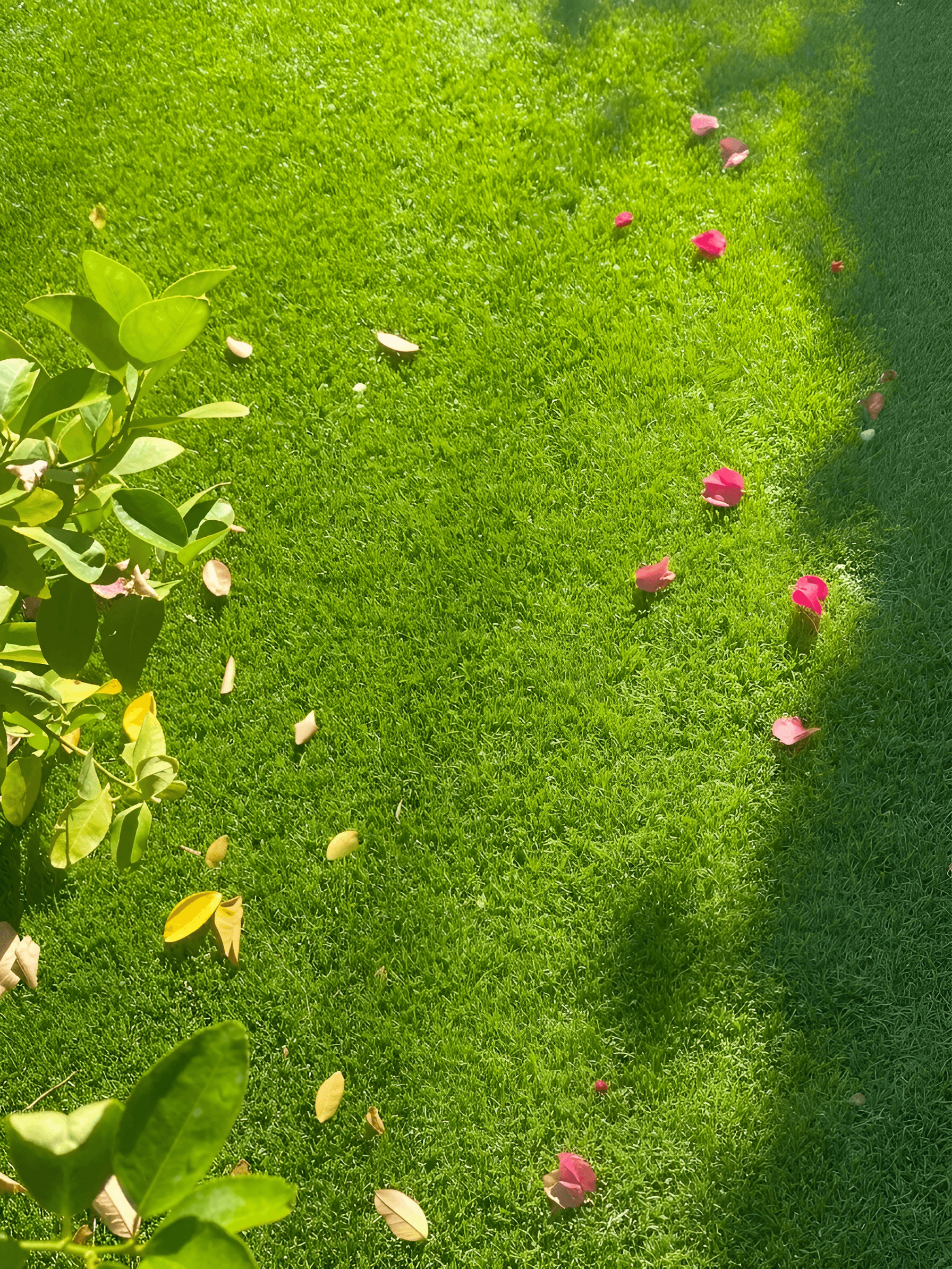 Enhanced Artificial Grass Image | Sharpened Details by AI