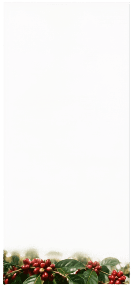 Before — original input