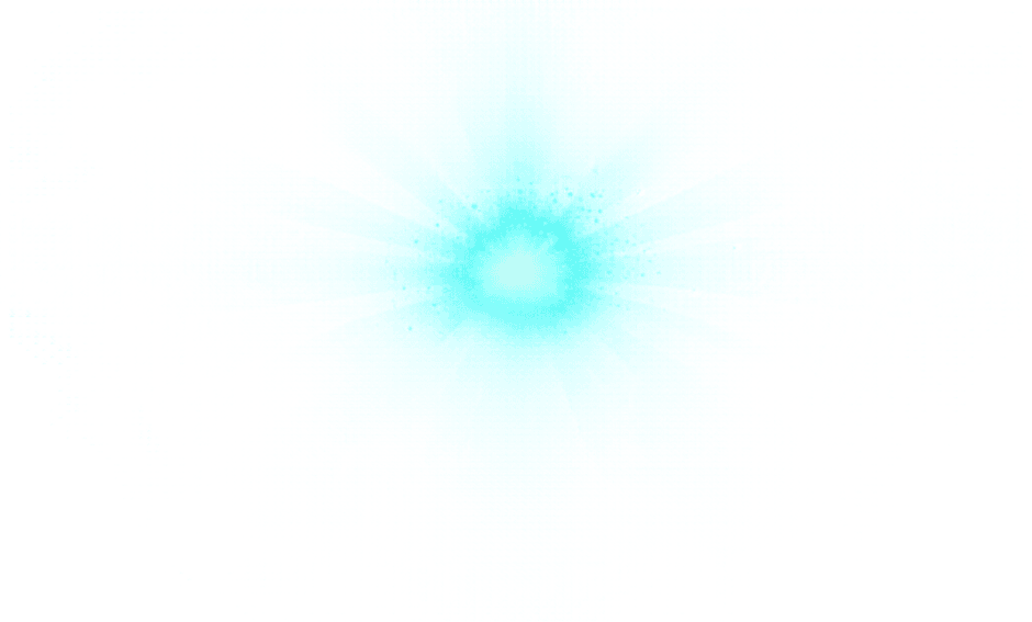 Before — original input