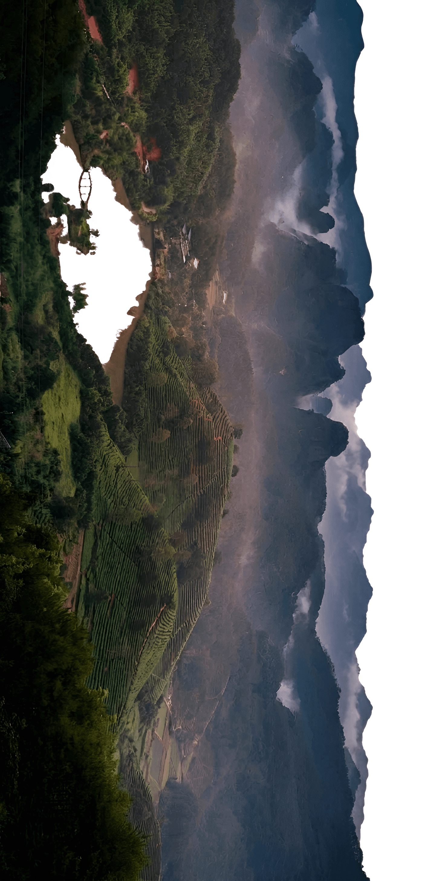After — AI processed result