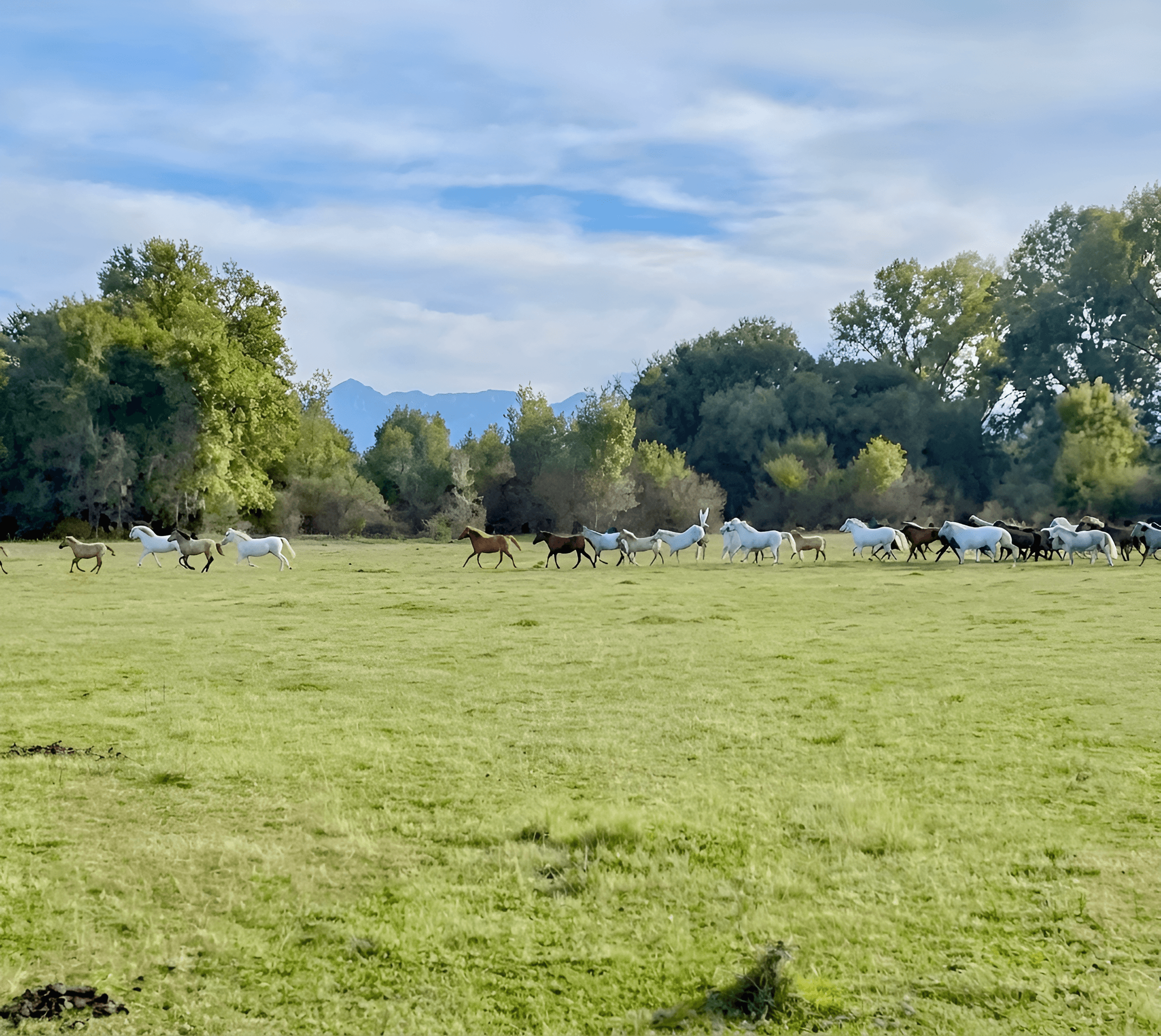 After — AI processed result