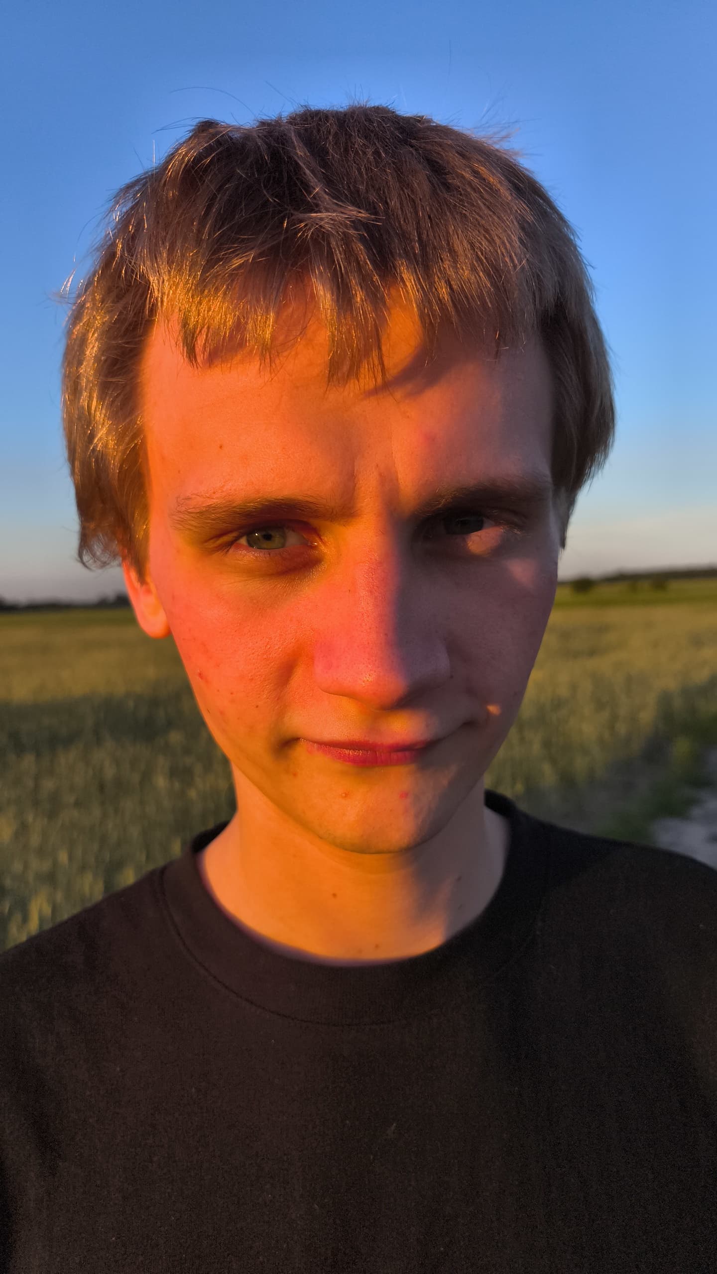 Before — original input