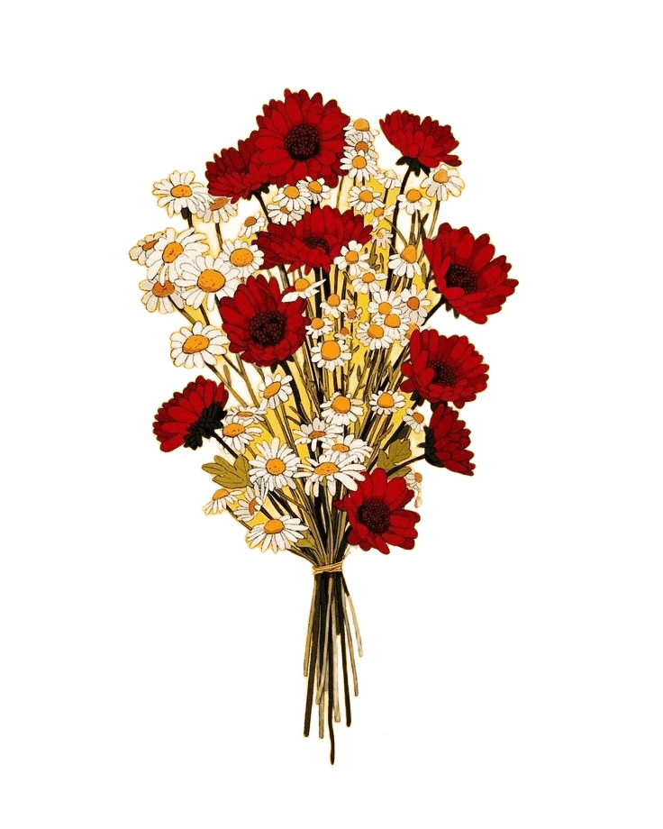 Remove Background from Flower Bouquet Illustration | BgRemovit