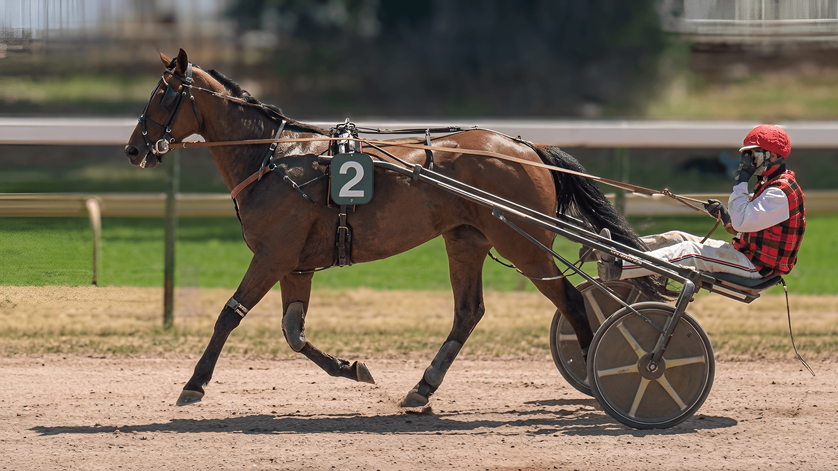 Sharpen Harness Racing Photo | AI Image Upscaler for Sports