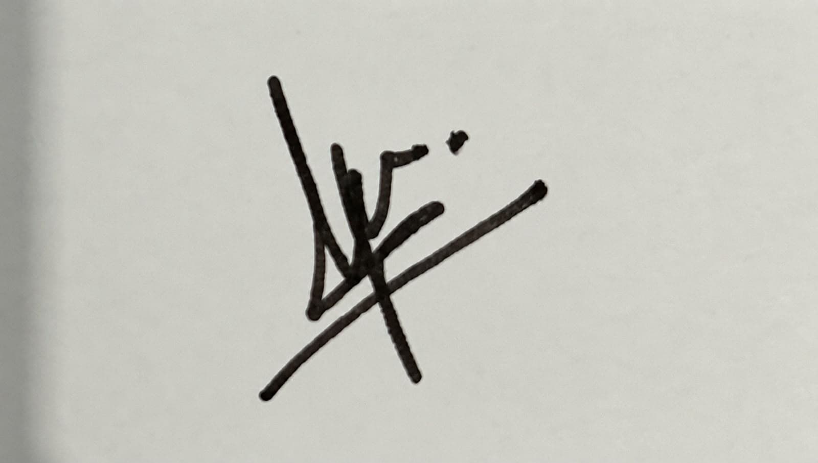 Before — original input