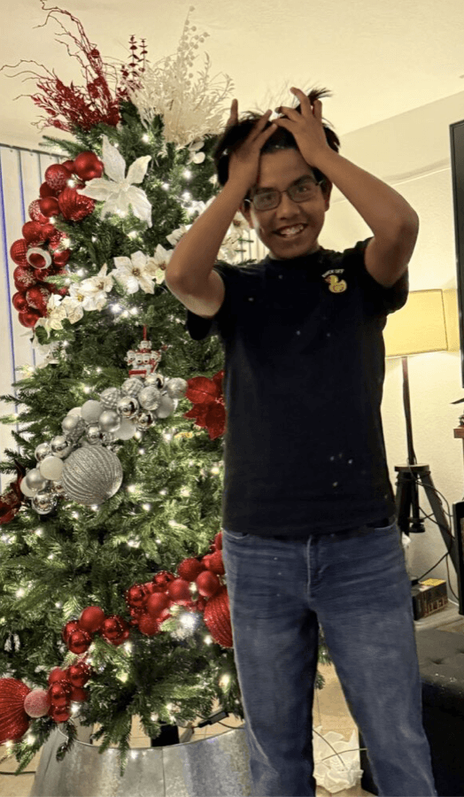 Before — original input