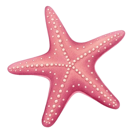 Remove Background from Pink Starfish Illustration | BgRemovit AI
