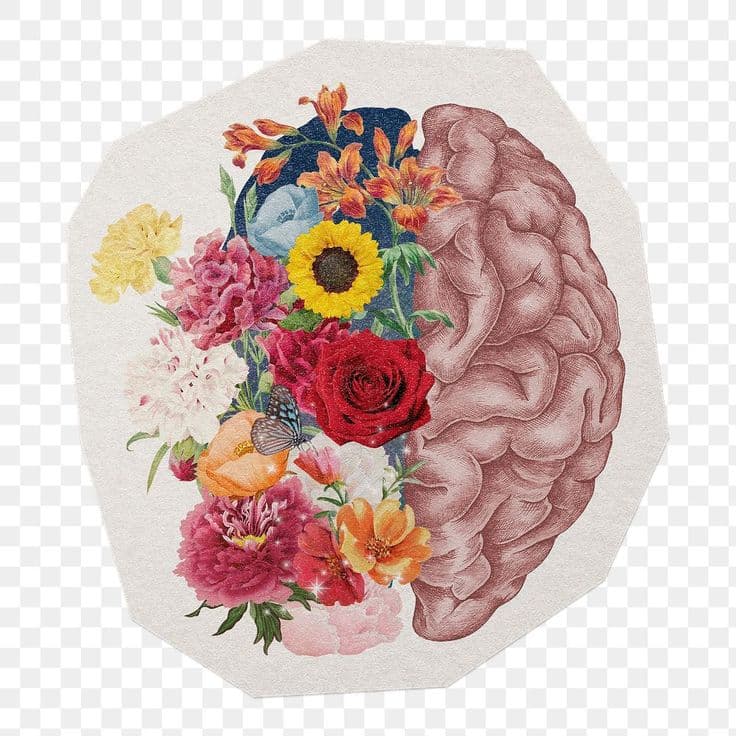 Before — original input