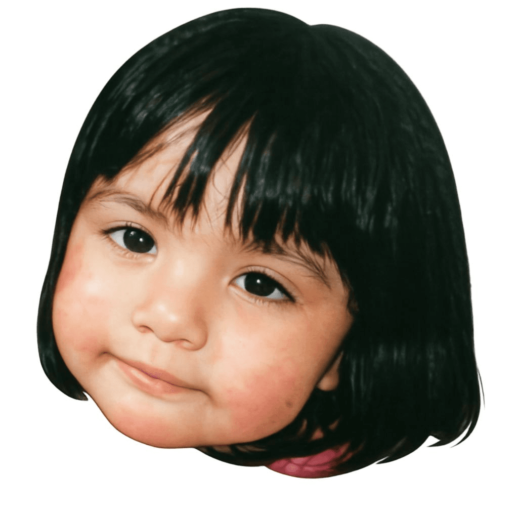 Before — original input