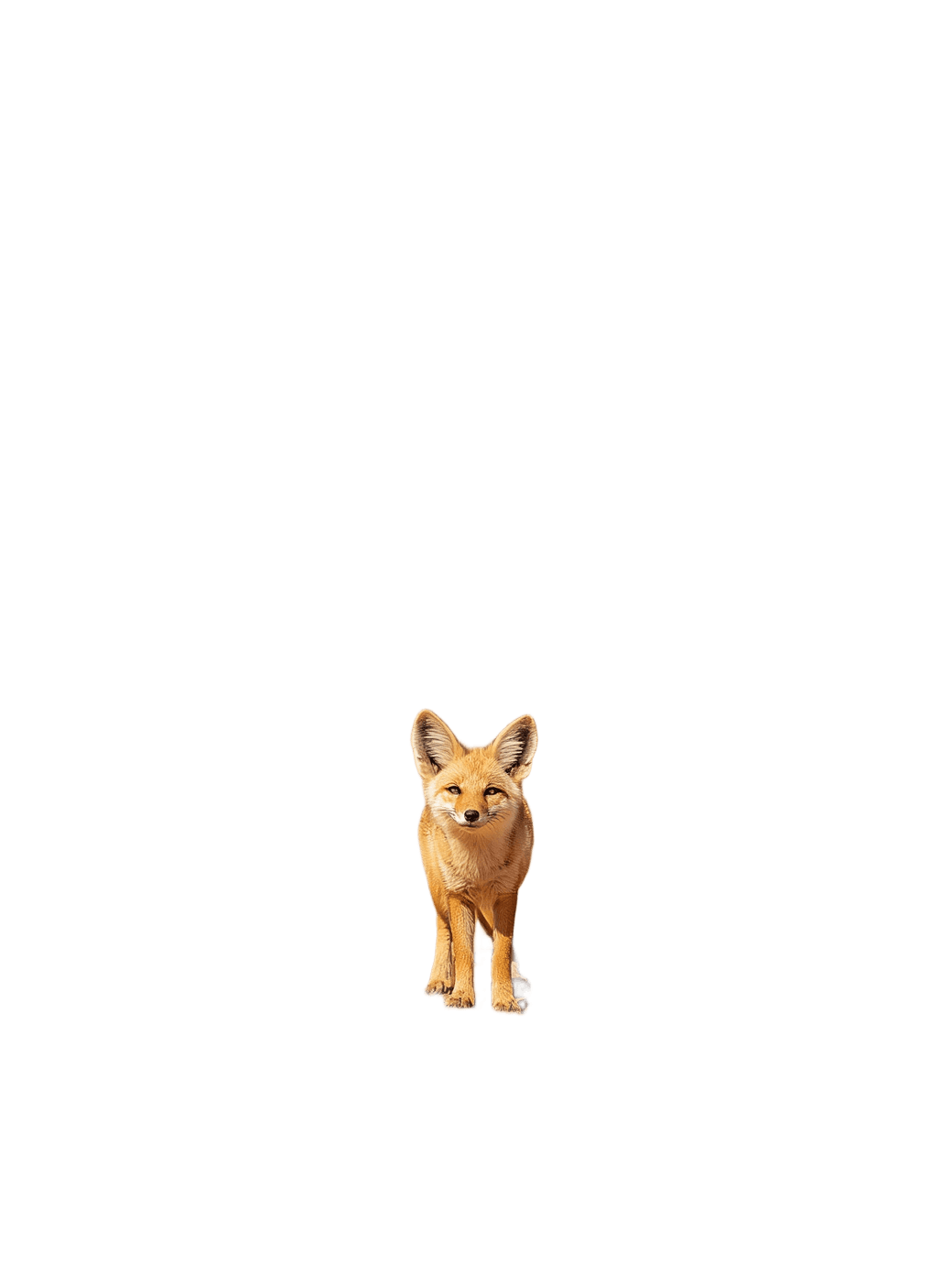 After — AI processed result