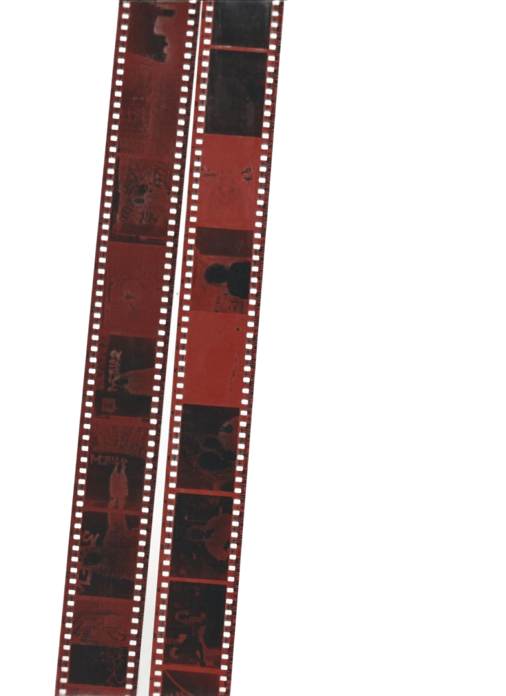 Remove Background from Film Strips | Perfect Edges AI