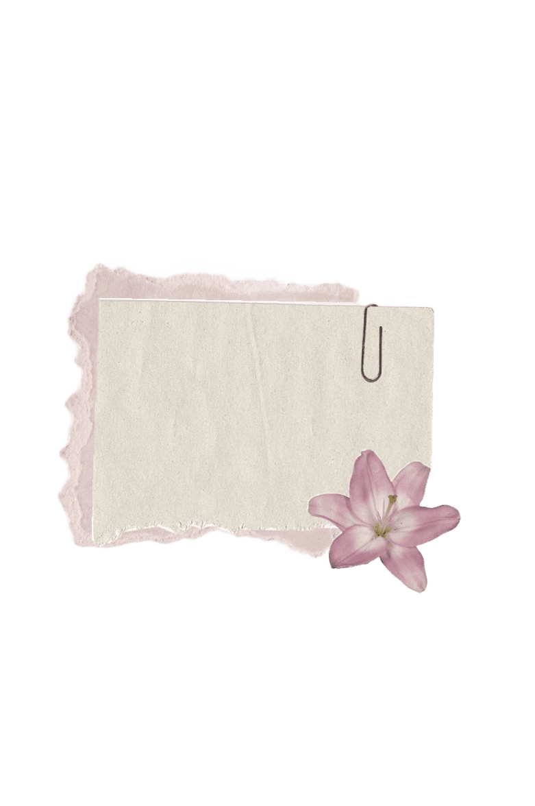 Remove Background from Paper Note & Lily Flower Image with AI