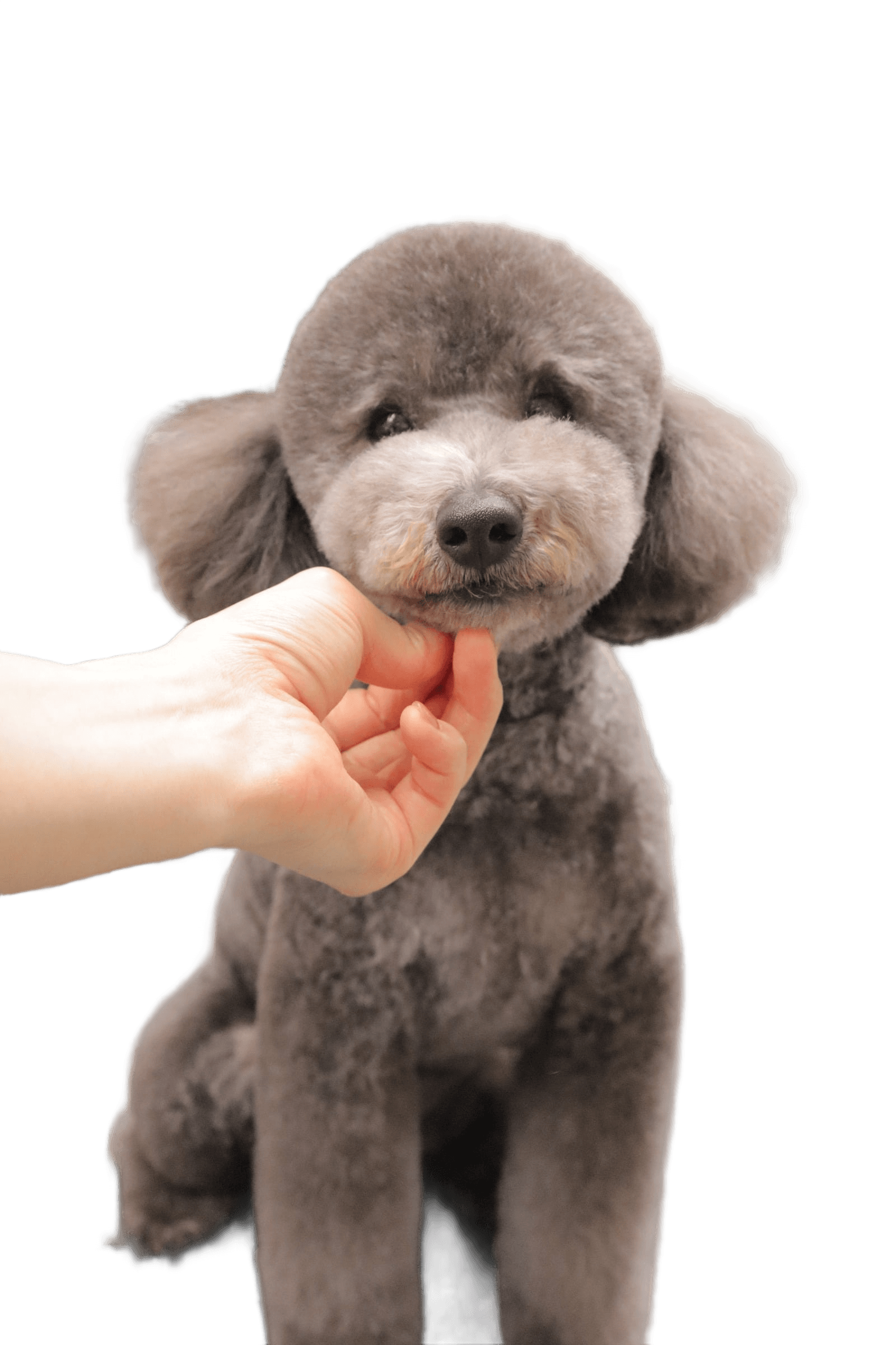 After — AI processed result
