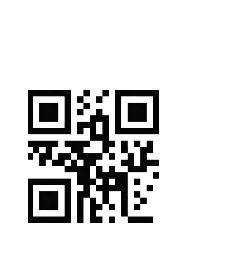 Before — original input